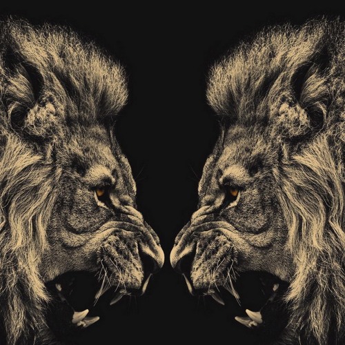 JAH  JAH JAMIE & JAKEY POOH POOH MIX