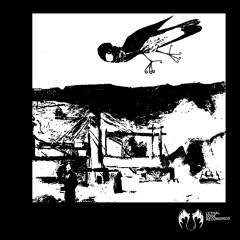 LDR 232 Trilingo - Noht (Original Mix) preview