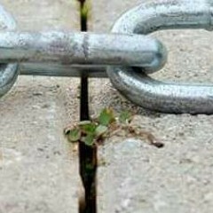 تلاوة مبكية من سورة الحج للشيخ ناصر القطامى 🌹