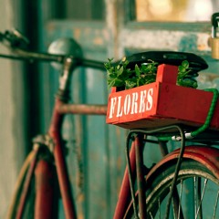 من أواخر سورة يوسف.....أداء مميز للشيخ حمزة الفار 🌹