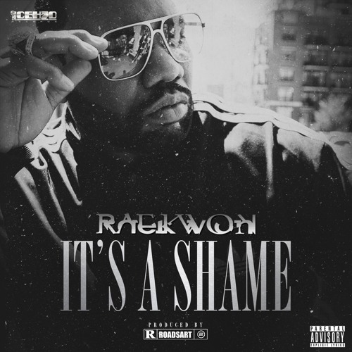 It's A Shame (Prod. By RoadsArt)