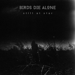 Nonsensical - Birds Die Alone