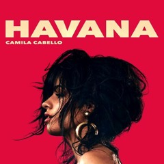 Camilla Cabello Feat Young Thug - Havana (SVKLZ Remix)