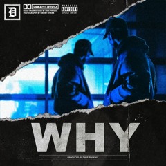WHY (Prod. By @DAVEPHNX)