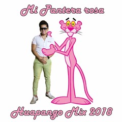 Mi Pantera Rosa Estilo Huapango Mix 2018