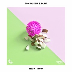 Tom Budin & DLMT - Right Now (Radio Mix)