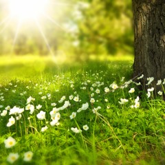 بحس بأمان - سميرة سعيد
