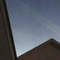 NEW YEARS ONLY "alien_landscape1"