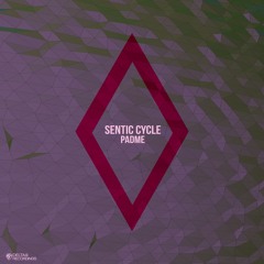 Sentic Cycle - Escape [D9REC049]