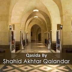 3 - DAMHAMA DAM ALI ALI (SHAHID QALANDAR)
