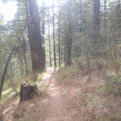 Being Outside