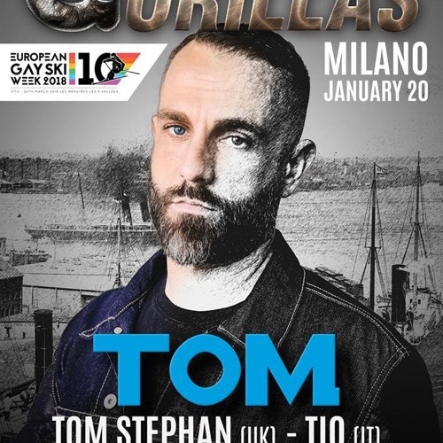 Tom Stephan GORILLAS