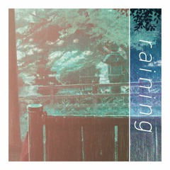 raining(dl)