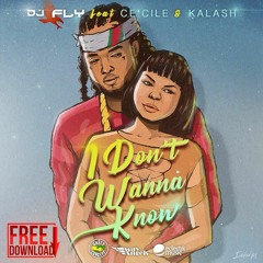 Dj Fly Feat Ce'cile & Kalash - I Don't Wanna Know