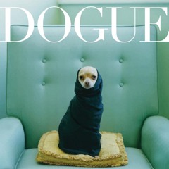 dogue