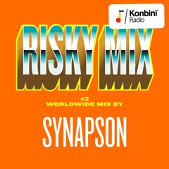 Risky Mix 002 - Synapson goes World Music
