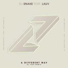 A Different Way (Teez Remix) ft. Lauv