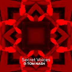 Tom Nash - Secret Voices (Radio Edit)