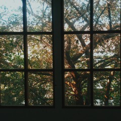 Dan - Sheila On 7 (ukulele Cover)