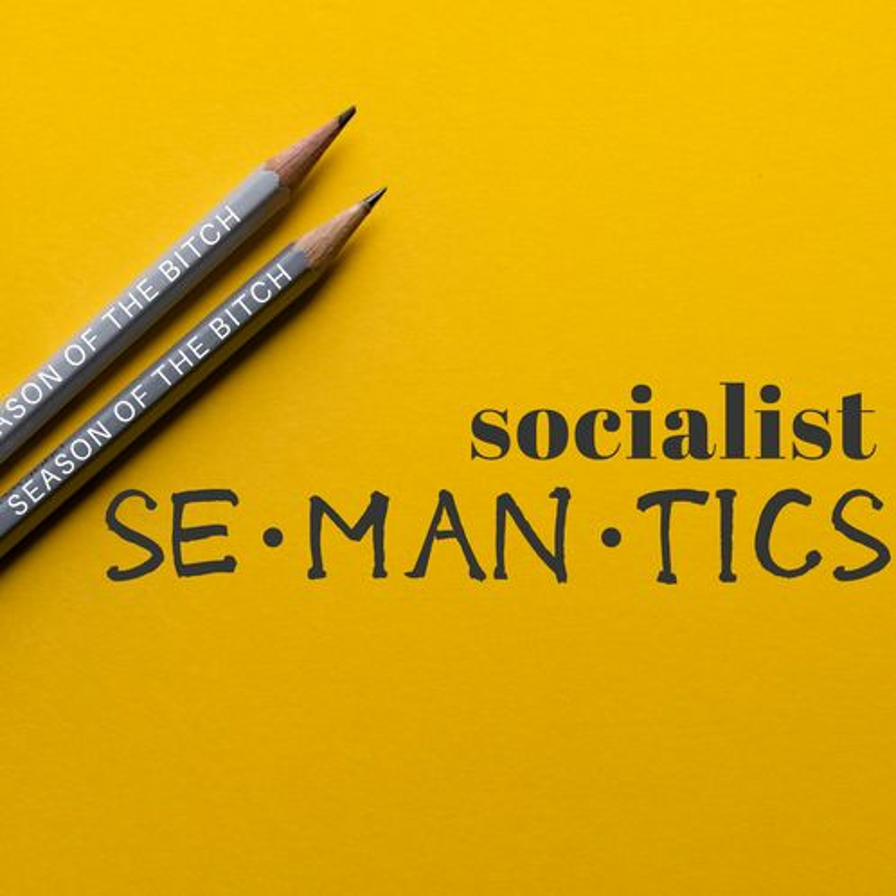 Episode 18: Socialist Semantics