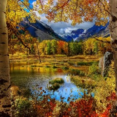 MODERN MARTINA - Autumn Wind (Korg S)