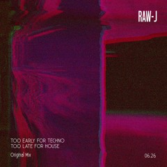 Too Early For Techno Too Late For House (Original Mix)