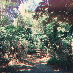 Say Something (cover)