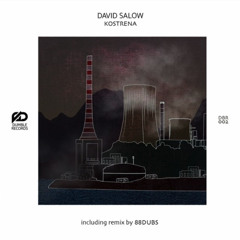 PREMIERE: David Salow - Kostrena (Original Mix) [Dumble Records]