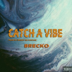 CATCH A VIBE // PROD BY BRIZZY DA SAVAGE //
