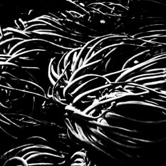 LOWER GROUND Pt 2: TOWARDS HUMAN EXTINCTION