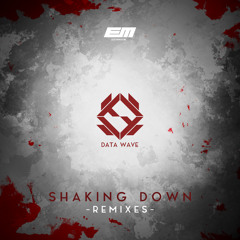 Data Wave - Shaking Down (Droflam Remix)