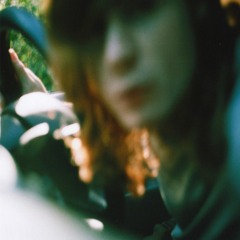 Horses Thru Strobelight