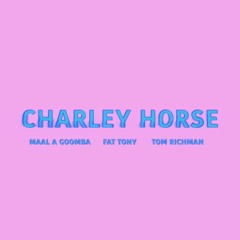 Charley Horse - Maal feat. Fat Tony [prod Tom Richman]