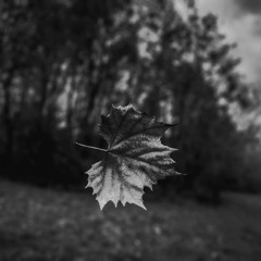Parting