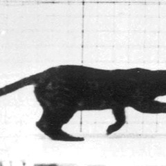 Follow Me (Vinyl Set)