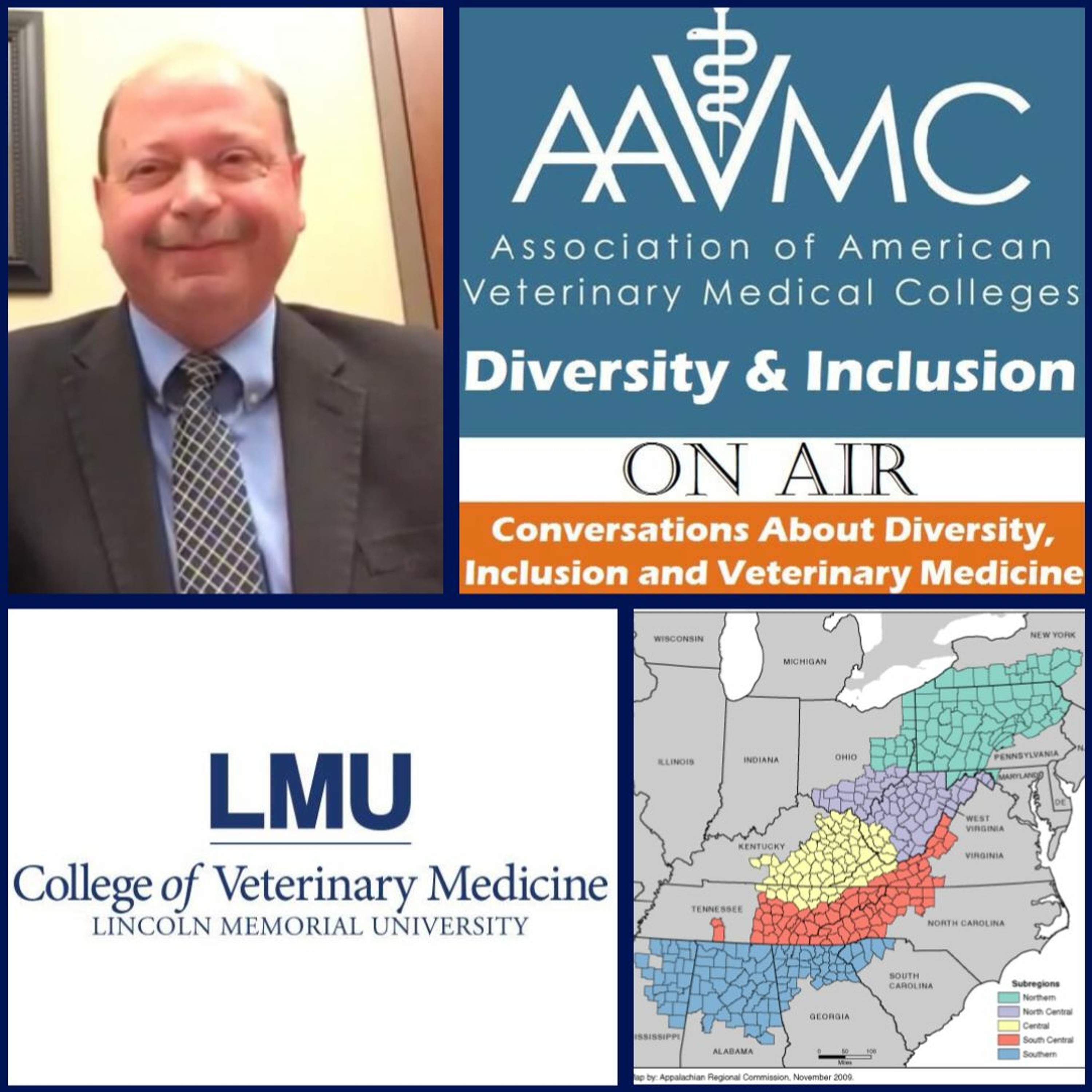 AAVMC\'s On Air: Conversations about Issues in Veterinary Medicine