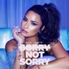 Demi Lovato Sorry Not Sorry Mp3