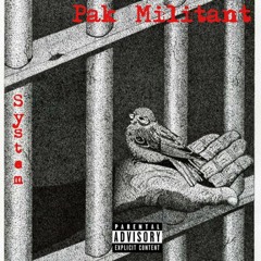 Pak Millitant - System 2018 single