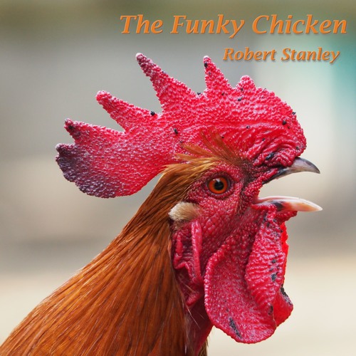 The Funky Chicken -Remix