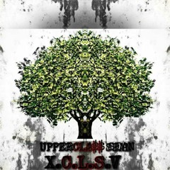 The Money Tree pt.2 ft. DeeboLatte, MANETANE, & Uppercla$$ Sean(prod. DSTRTD)