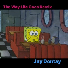 The Way Life Goes