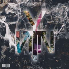 YTN Freestyle (ft. GMO T-Red)