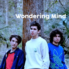 Wondering Mind
