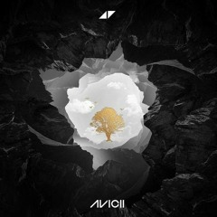 Avicii - Without You (Sound Rush Bootleg)