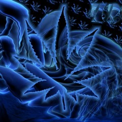 Lil Tony- Whats happen?