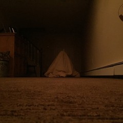 Nocturnal (I'm Sleeping In Tomorrow).