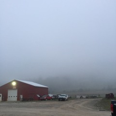 Below The House (phone demo)