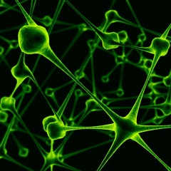 Serum's Virus - 149 Bpm  - Preview