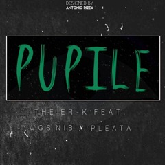ERIK OG x LIL NIB x Seba 24K - PUPILE (Audio)