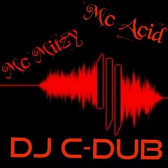 DJ C - DUB  MC MITZY b2b  MC ACID